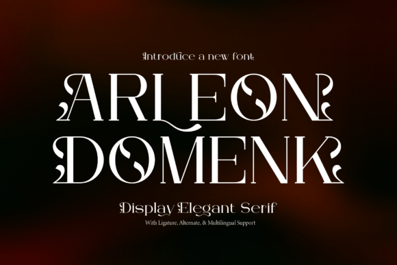 Arleon Domenk: A Designer’s Practical Serif Review
