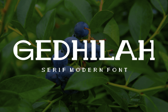 Gedhilah Font Review: Bold Serif Typography for Web Design
