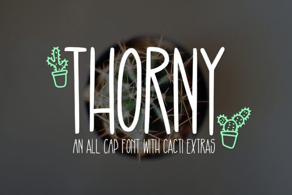 Thorny Font Review: A Designer’s Practical Take